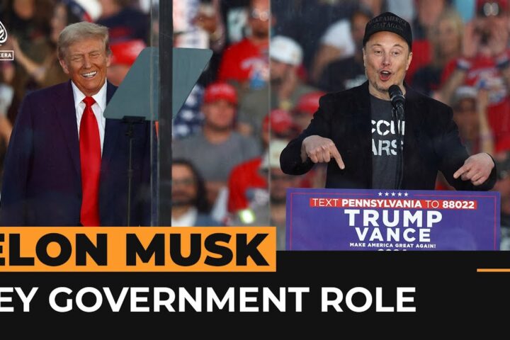Elon Musk's Role in the 2025 U.S. Government